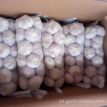Nueva cosecha de ajo fresco precio de mercado 1 kg